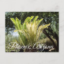 Search for backlit postcards Nature