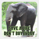 Search for save wildlife stickers Extinction