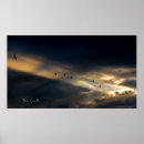 Search for bob posters Animal