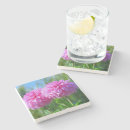 Search for side coasters Photography