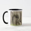 Search for young adults mugs Asian