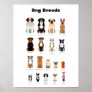Search for dog breed posters Pet