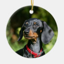 Search for miniature dachshund christmas tree decorations Black and tan