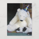 Search for bear cat postcards Kitty