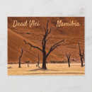 Search for dead postcards Sossusvlei