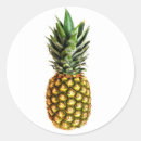 Search for lifestyle gift wrap Pineapple