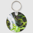 Search for slow key rings Nature
