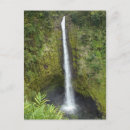 Search for akaka falls Nature