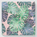 Search for monstera coasters Tropics