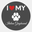 Search for italian greyhound stickers Puppy