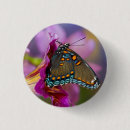 Search for swallowtail badges Black