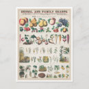 Search for useful postcards Chart