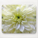 Search for chrysanthemums mouse mats Nature