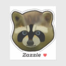 Search for nocturnal animals stickers Racoon