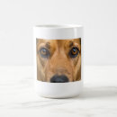 Search for humorous dog mugs Pet lover