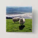 Search for sheep square badges Rural