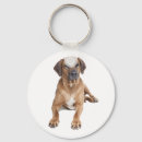 Search for rhodesian ridgeback dog key rings Puppies