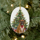 Search for boxer christmas tree decorations Festive