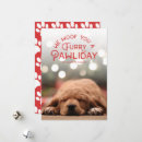 Search for woof christmas cards Funny