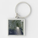 Search for slick key rings Pollution