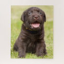 Search for black labrador puppy puzzles Puppies