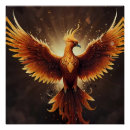 Search for fiery posters Phoenix