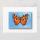Search for shell horizontal postcards Insect