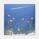 Search for rhodes magnets Summer