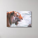 Search for tiger head canvas prints Outdoors