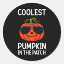 Search for coolest stickers Girls