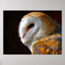 Search for barn owl posters Wild