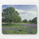 Search for oaks mouse mats Colourful
