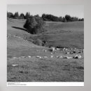 Search for ansel adams photography posters Santa cruz