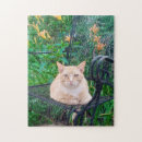 Search for tabby cat puzzles Flower