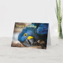 Search for macaw birthday cards Blue