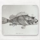 Search for school of fish electronics Tropical