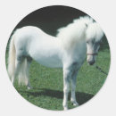Search for white pony stickers Horses