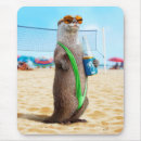 Search for the otter electronics Beach