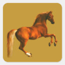 Search for arabian stickers Equestrian