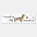 Search for weiner dog bumper stickers Dachsie