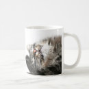 Search for sleeping kitty mugs Tabby