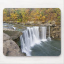 Search for chuck mouse mats Scenic