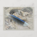 Search for blue jay feathers postcards Nature