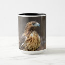 Search for red tail hawk mugs Raptor