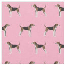 Search for treeing walker coonhound Pet