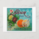 Search for crate label postcards Citrus