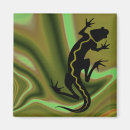 Search for salamander magnets Gecko