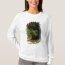 Search for volta Nature