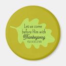 Search for olive magnets Minimalist