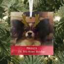 Search for hamster home decor Pet